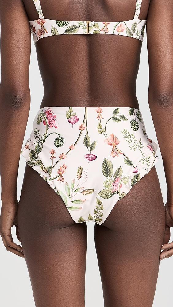 Agua by Agua Bendita Jengibre Cultivo Bikini Bottoms | Shopbop Product Image