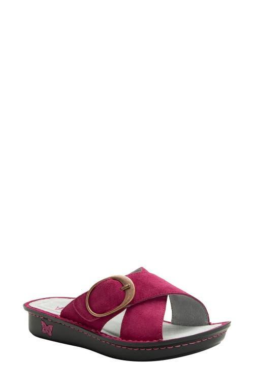 Alegria Vanya (Magenta) Women's Shoes Product Image