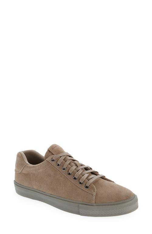 AllSaints Brody Low Top Sneaker Product Image