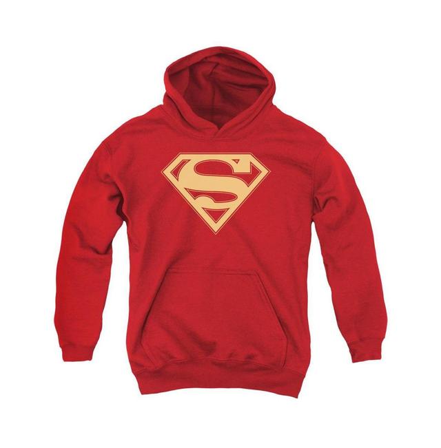 Dc Comics Boys Youth Wonder Woman Wings Pull Over Hoodie / Hooded Sweatshirt Product Image