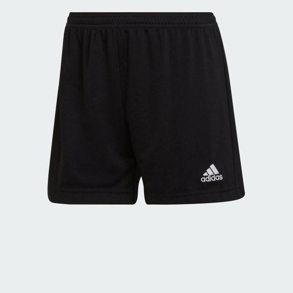 Entrada 22 Shorts Product Image