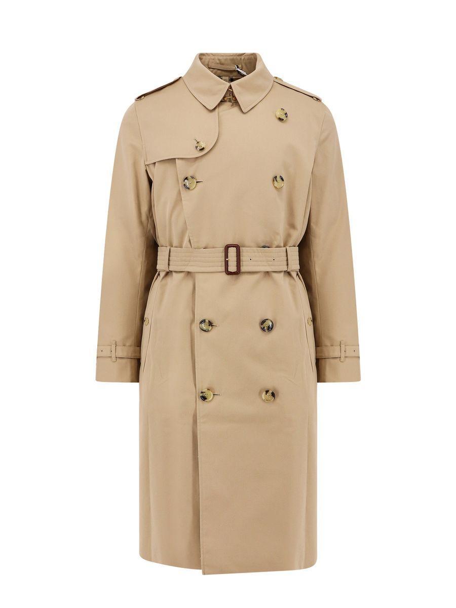 BURBERRY Trench In Brown Product Image