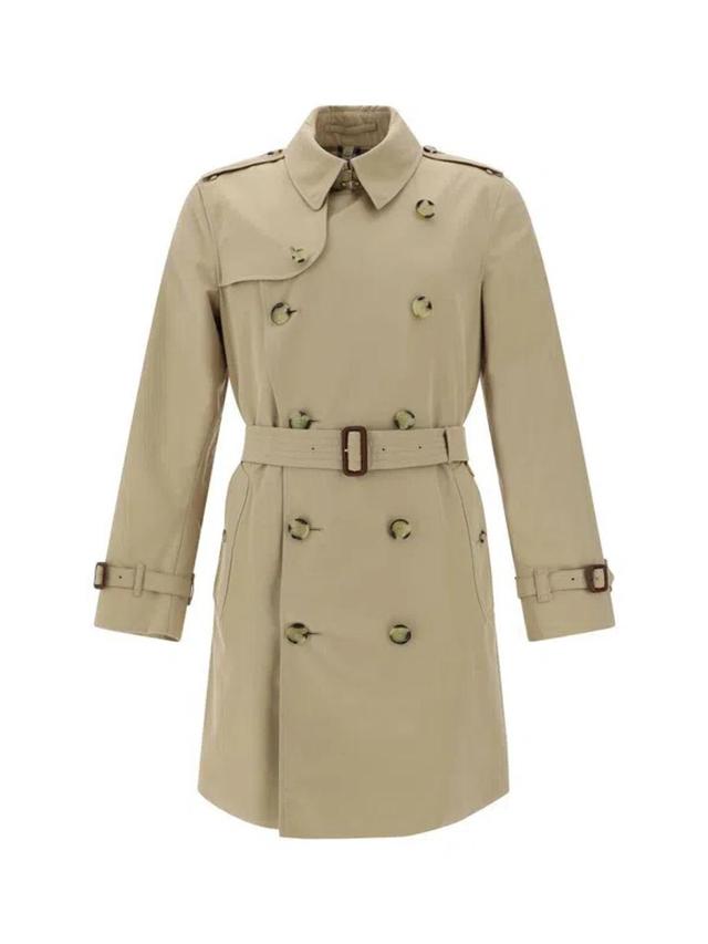 BURBERRY Coats & Jackets In Beige Product Image