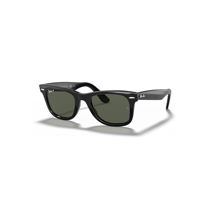 Womens Wayfarer Tortoiseshell Chromance Sunglasses Product Image