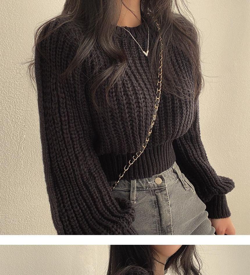 Crew Neck Plain Chunky Knit Crop Sweater Product Image