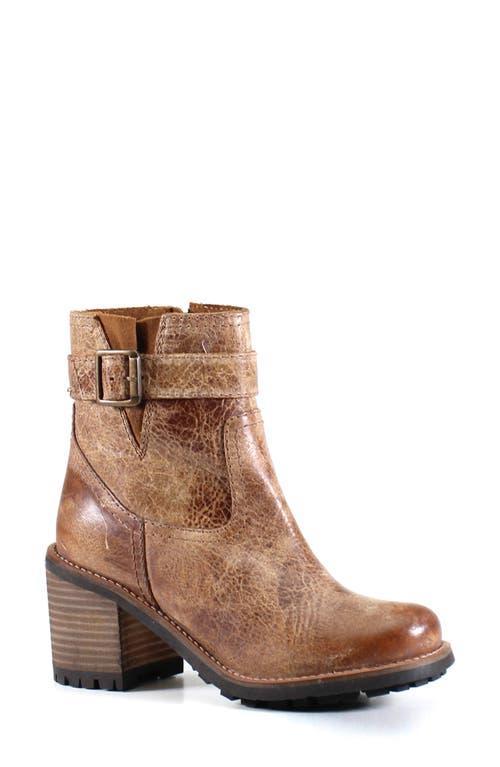 Diba True Craze Hot Distressed Leather Moto Booties Product Image