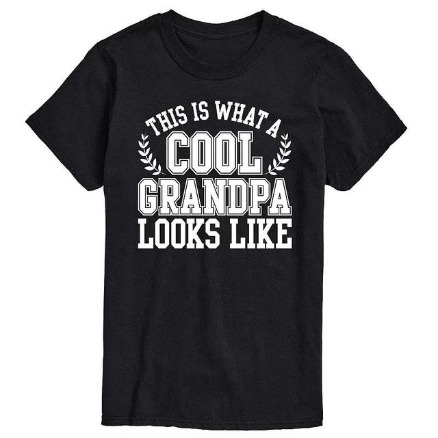 Big & Tall Cool Grandpa Tee, Mens Product Image