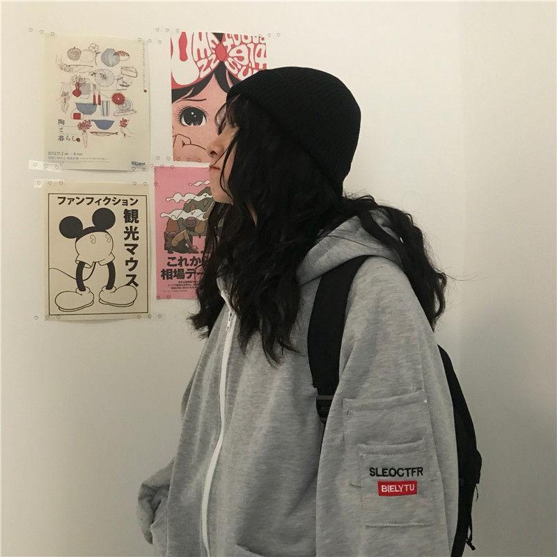 Embroidered Zip Hoodie Product Image