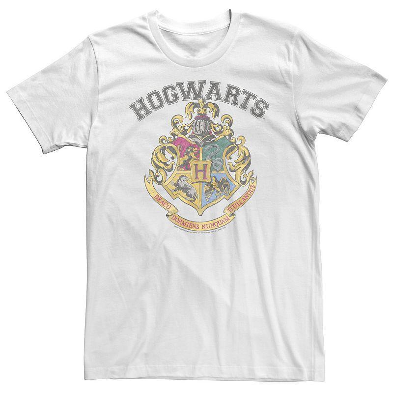 Big & Tall Harry Potter Vintage Logo Tee, Mens Product Image