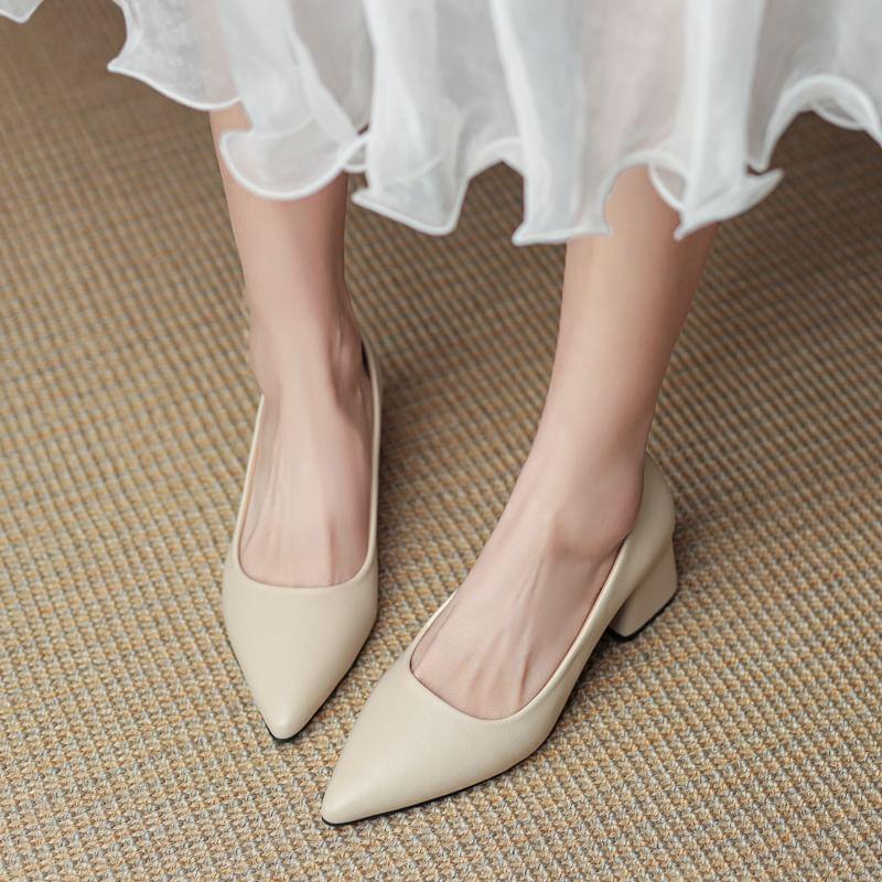 Block Heel Pointed Pumps Product Image