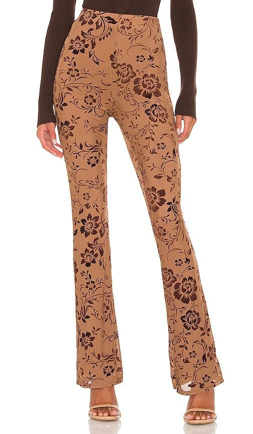 MAJORELLE Lars Pant Size M, XXS. Product Image