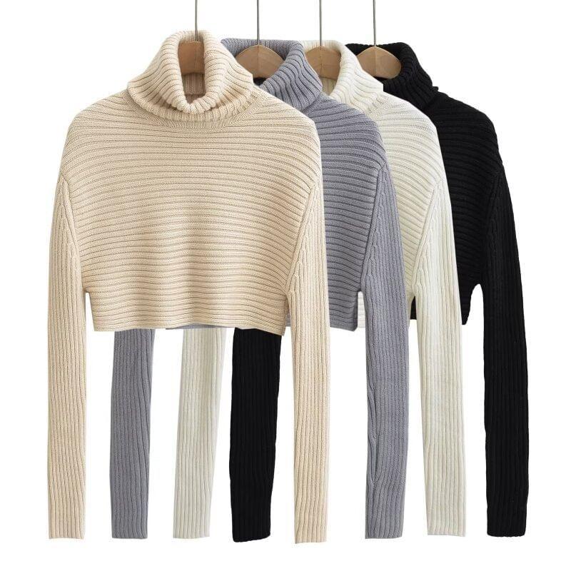 Turtleneck Plain Ribbed Knit Crop Sweater Product Image