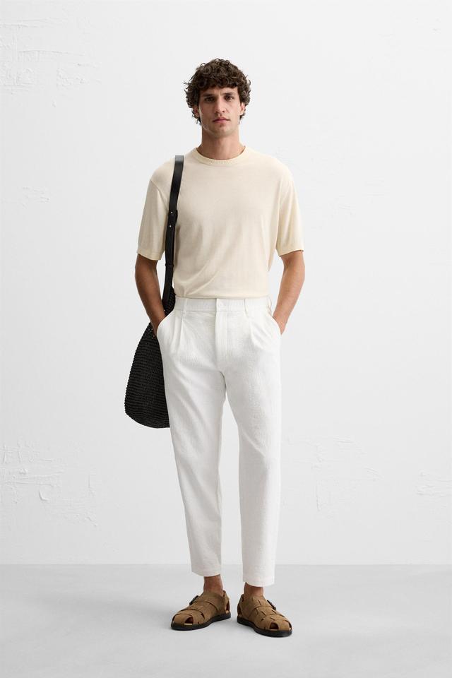 TEXTURED PLEATED PANTS Product Image