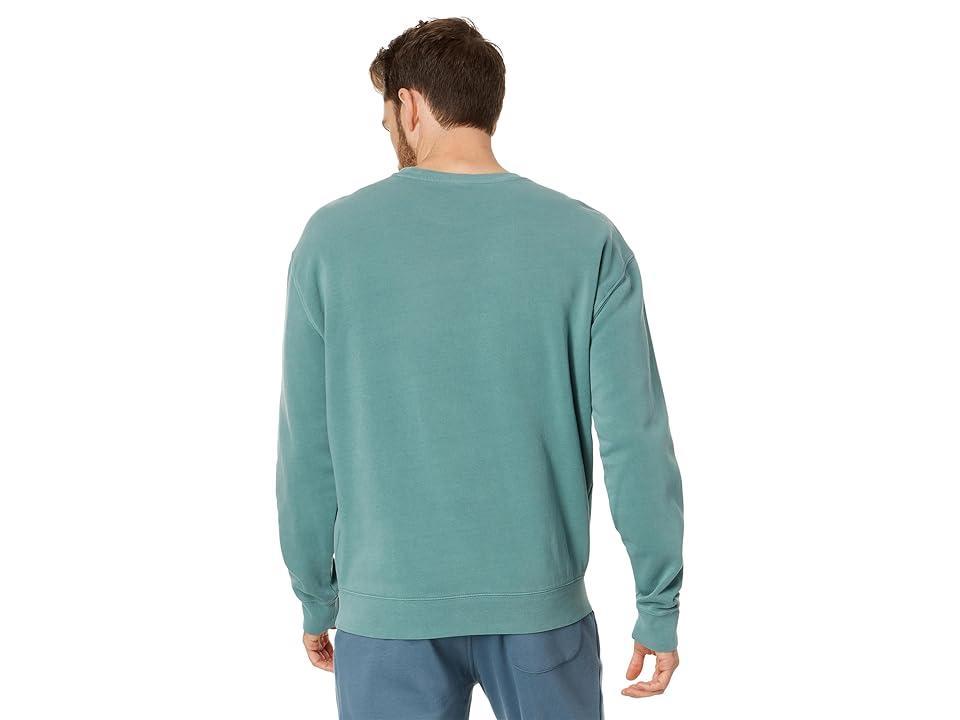 RVCA PTC Crew Sweatshirt (Evergreen) Men's Clothing Product Image