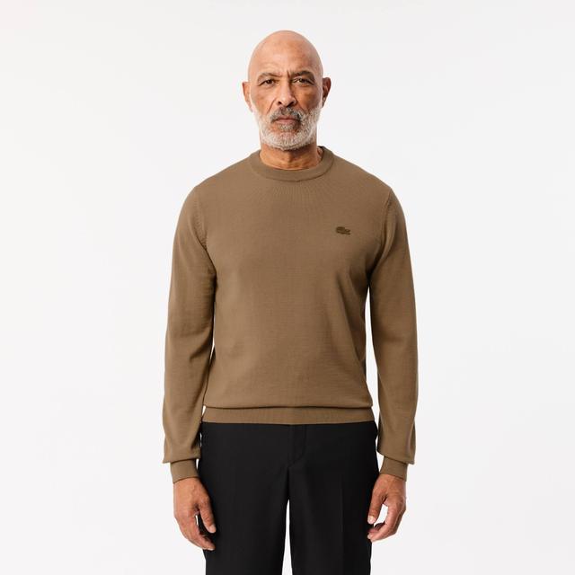 Merino Wool Crew Neck Sweater Product Image