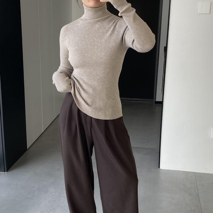 Long Sleeve Turtleneck Plain Ribbed Knit Top Product Image