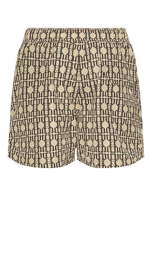 Palm Angels Swimshorts Brown. (also in ). Product Image