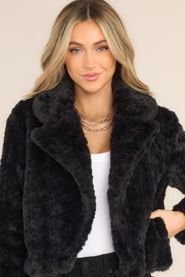 Arctic Glamour Faux Fur Black Jacket Product Image