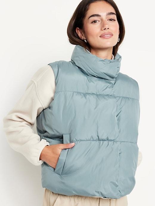 Quilted Puffer Vest Product Image