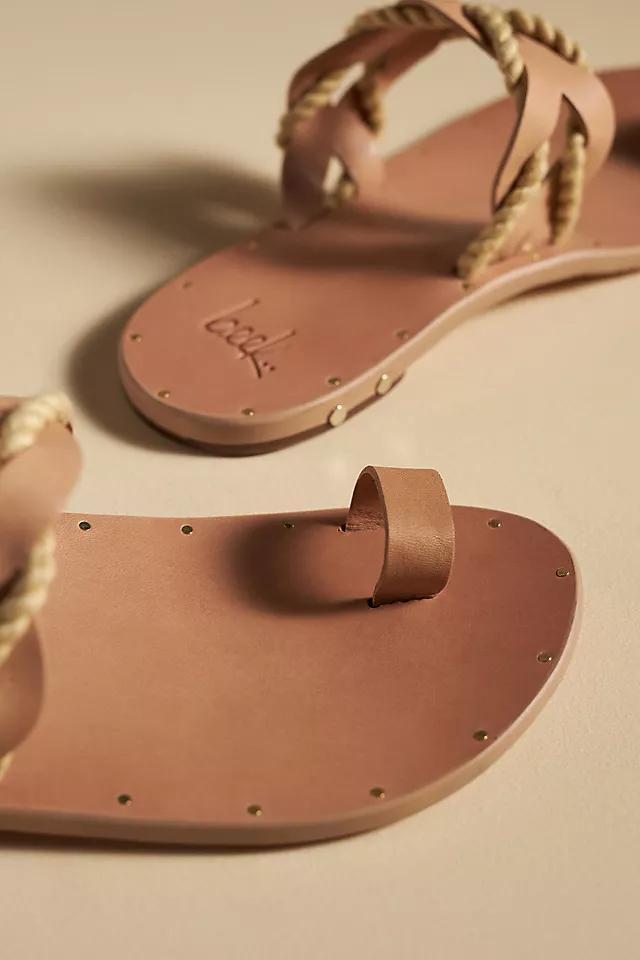 beek Treepie Sandals Product Image