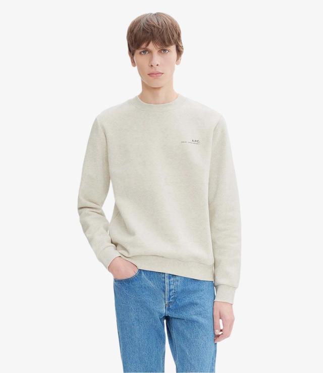 Standard Item sweatshirt (M) Male Product Image