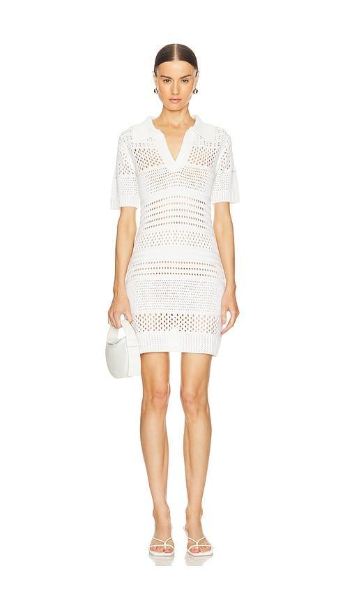 Variegated Knit Mesh Polo Dress product image