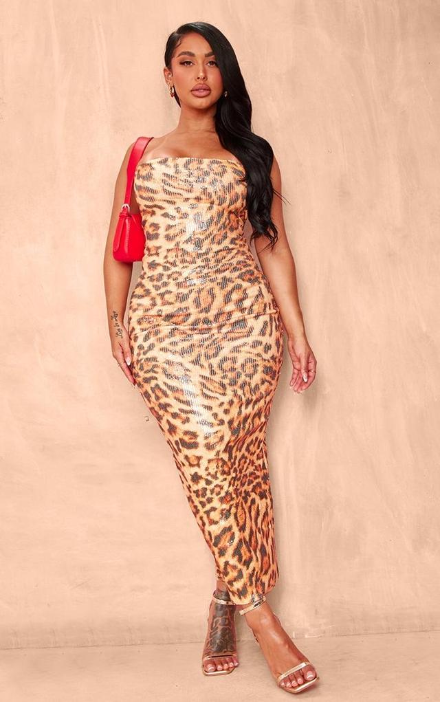 Shape Leopard Print Sequin Bandeau Bodycon Midi Dress Product Image