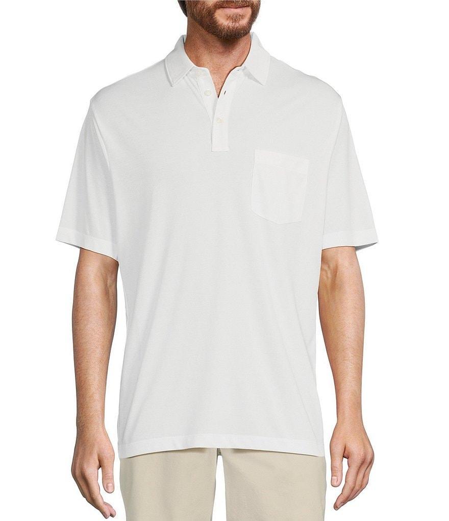 Roundtree & Yorke Performance TravelSmart Easy-Care Short Sleeve Solid Birdseye Polo Shirt Product Image