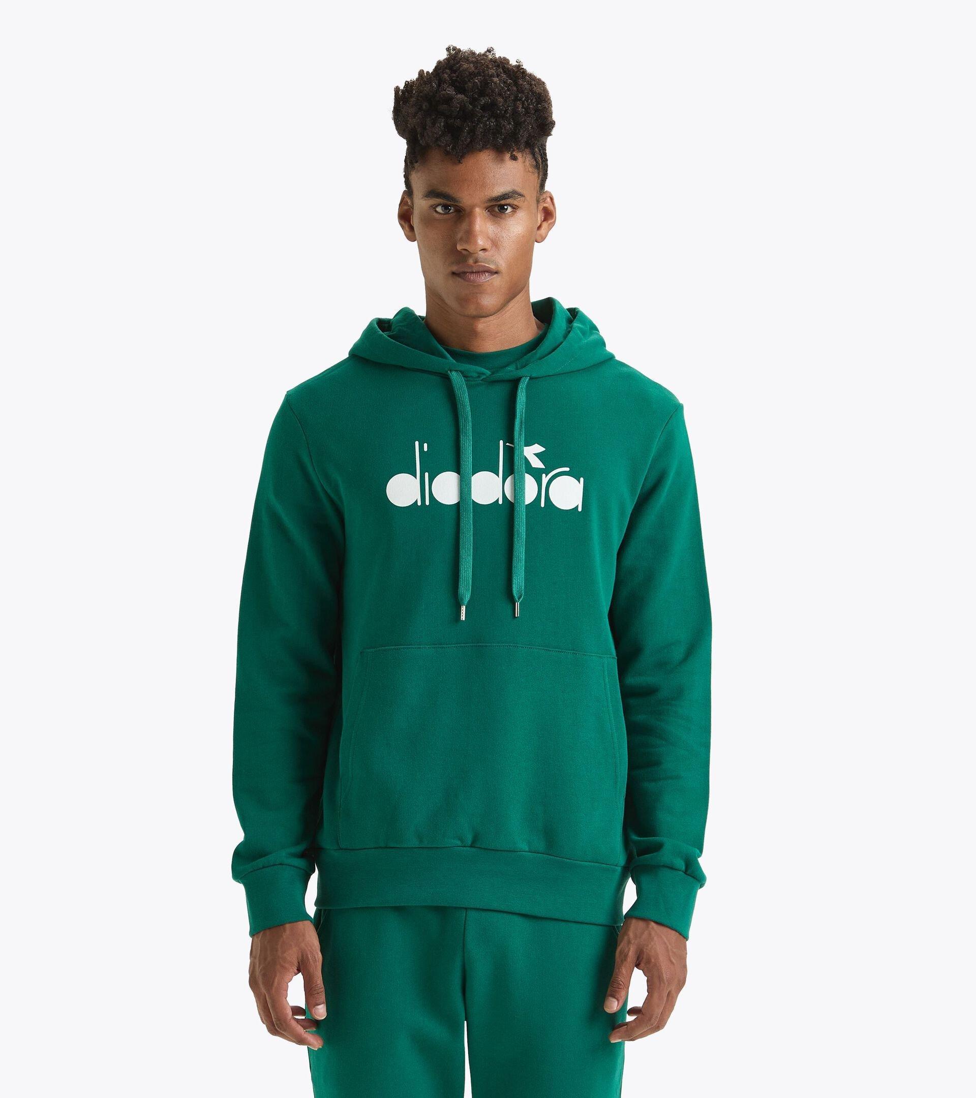 HOODIE LOGO Product Image