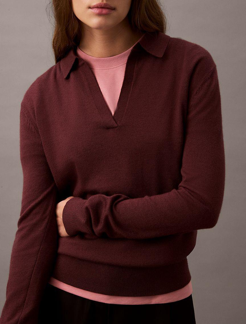 Extra Fine Merino Blend Polo Sweater Product Image