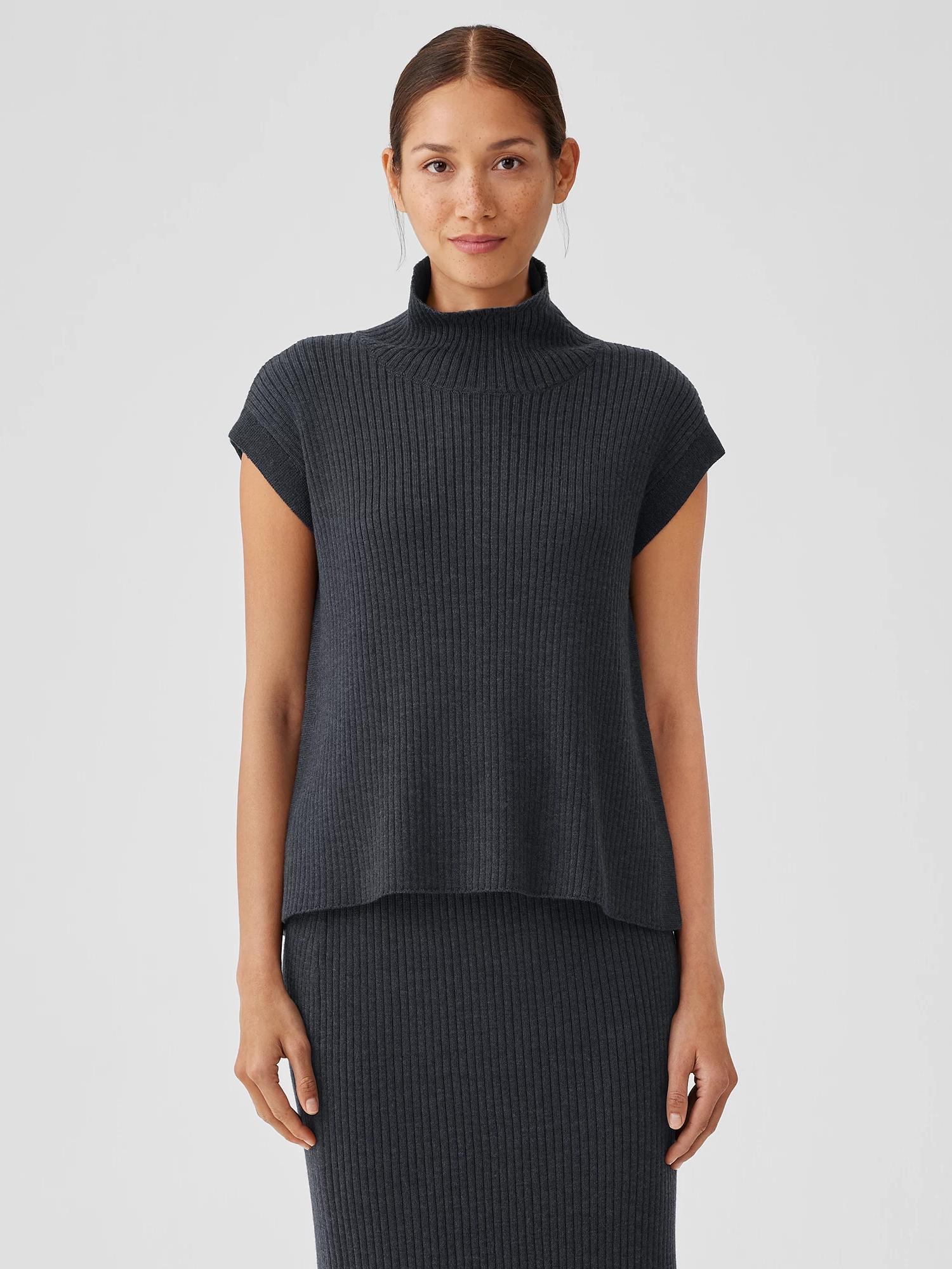 EILEEN FISHER Merino Turtleneck Top in Regenerative Woolfemale Product Image