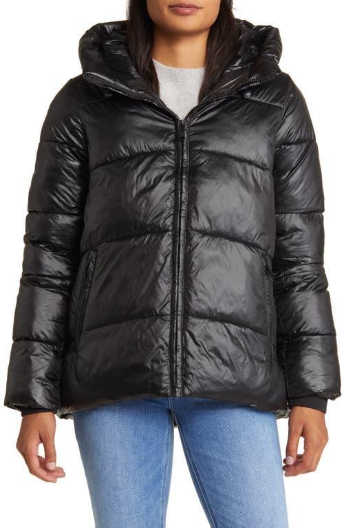 Womens Hooded Puffer Coat Product Image