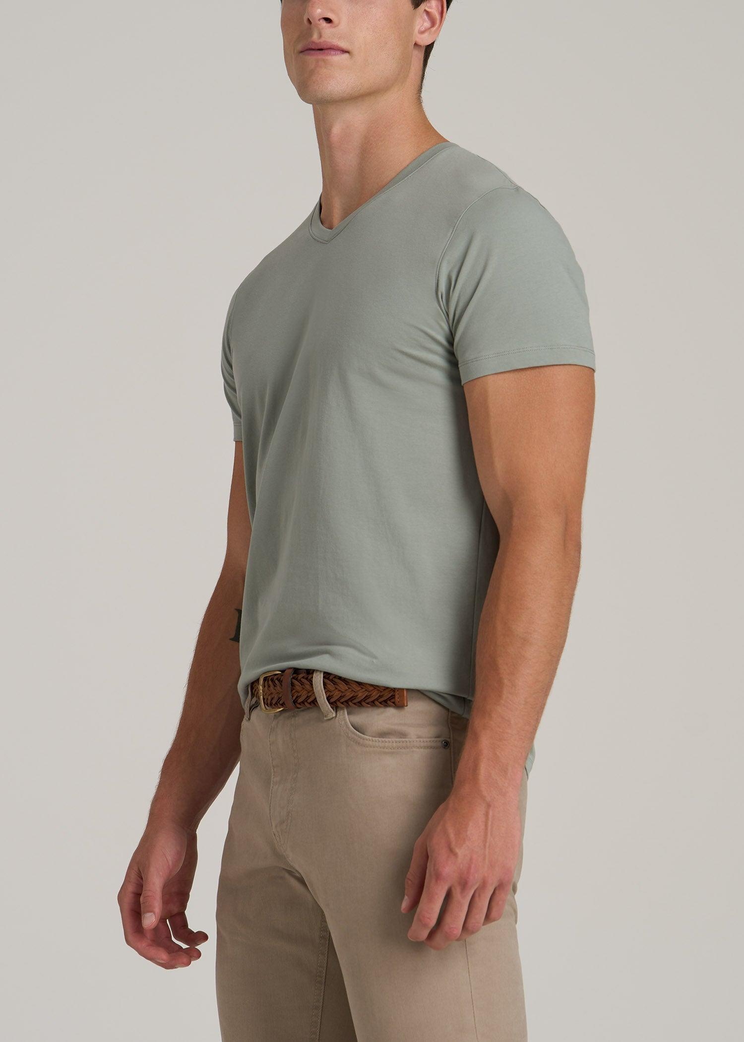 Stretch Cotton MODERN-FIT V-Neck T-Shirt for Tall Men in Seagrass Male Product Image