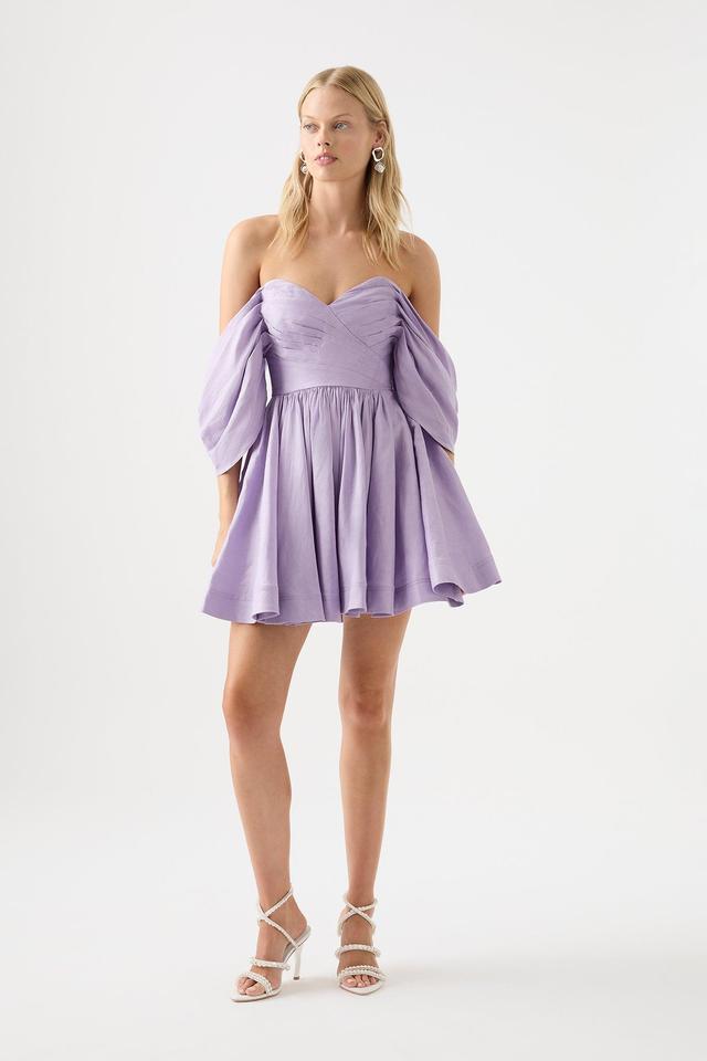 Zorina Sweetheart Mini Dress Product Image