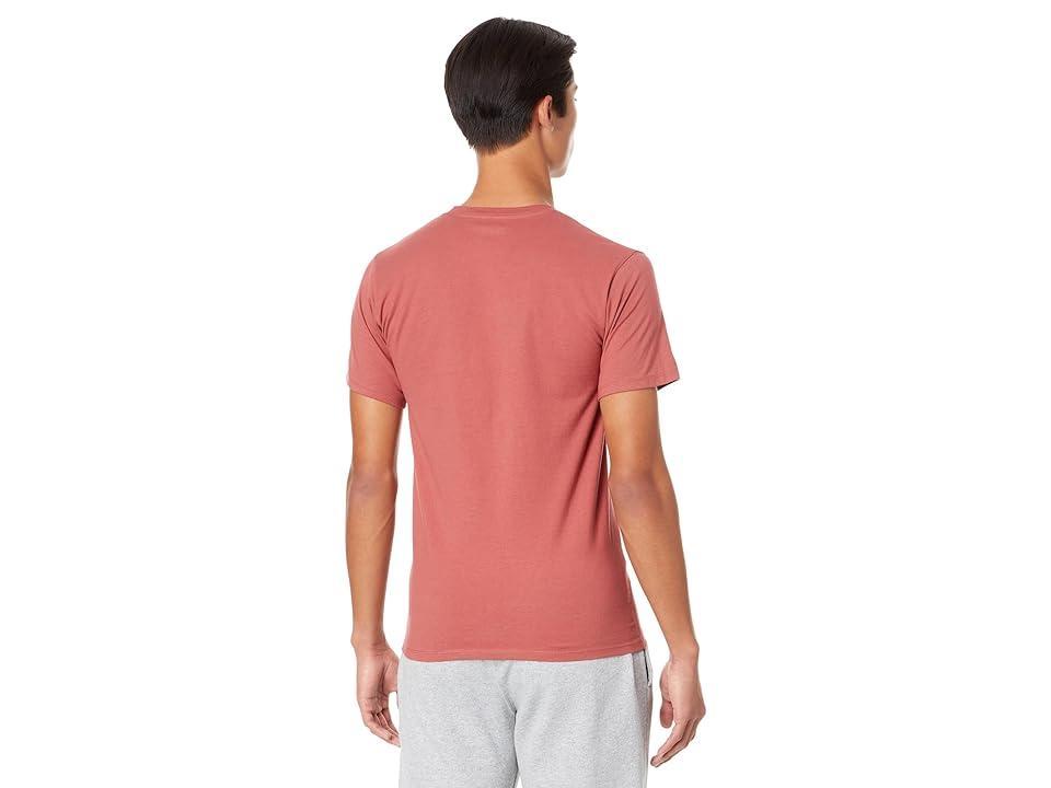 Champion Classic Graphic Tee (Sandalwood ) Men's Clothing Product Image