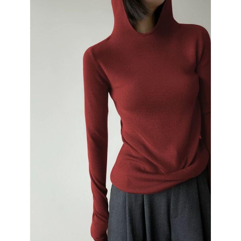 Long-Sleeve Plain Asymmetrical Hooded Knit Top Product Image