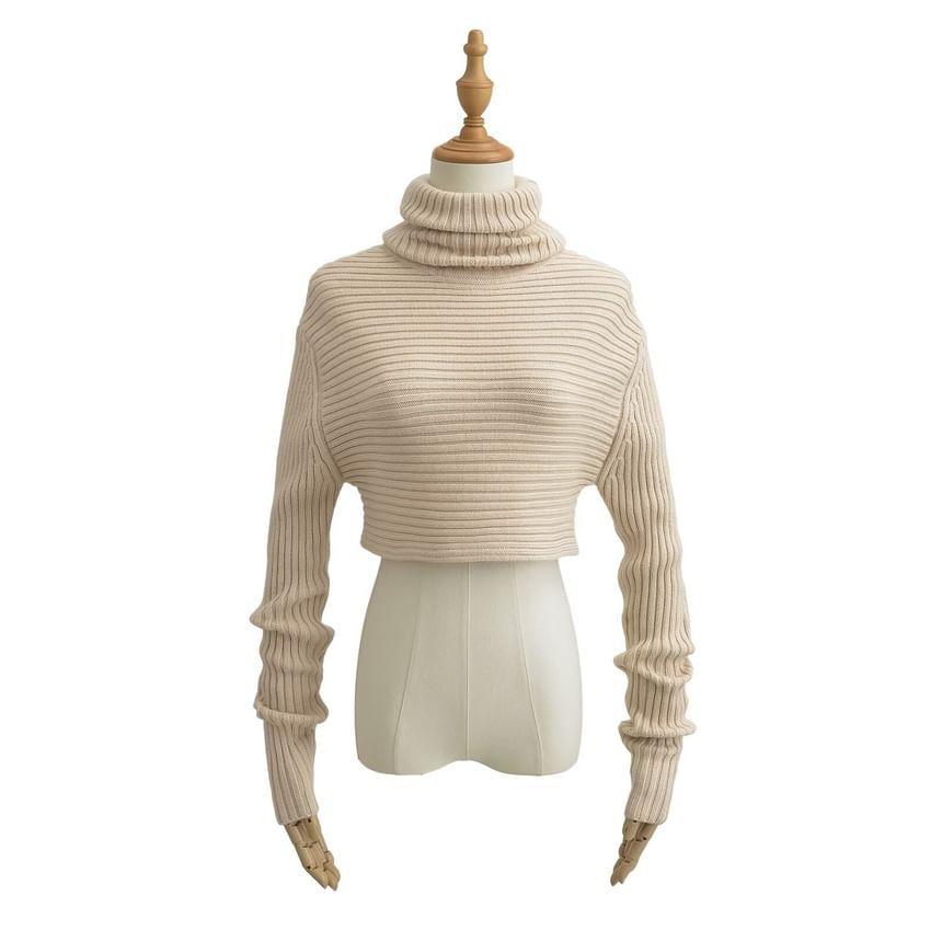 Turtleneck Plain Ribbed Knit Crop Sweater product image