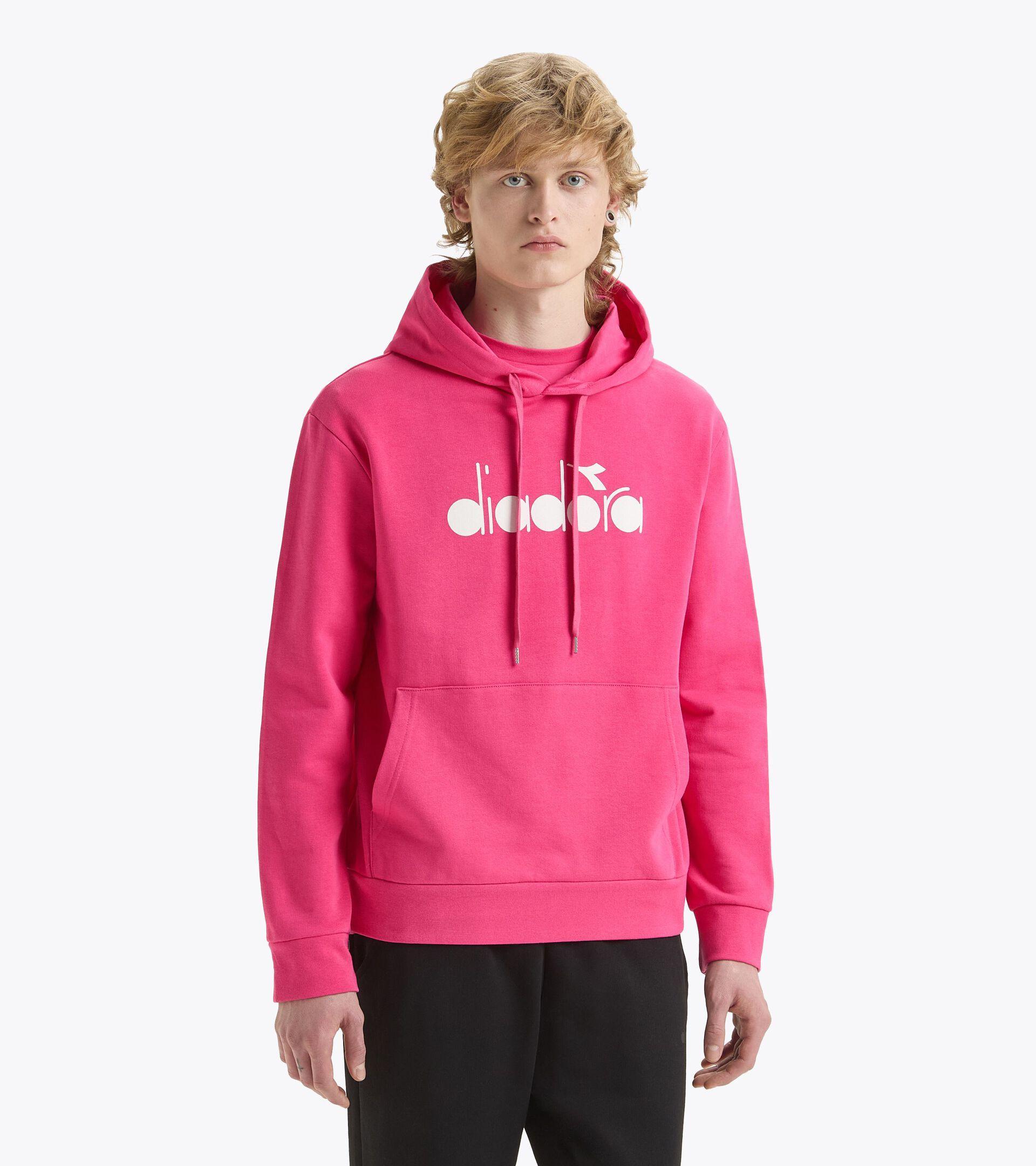 HOODIE LOGO Product Image