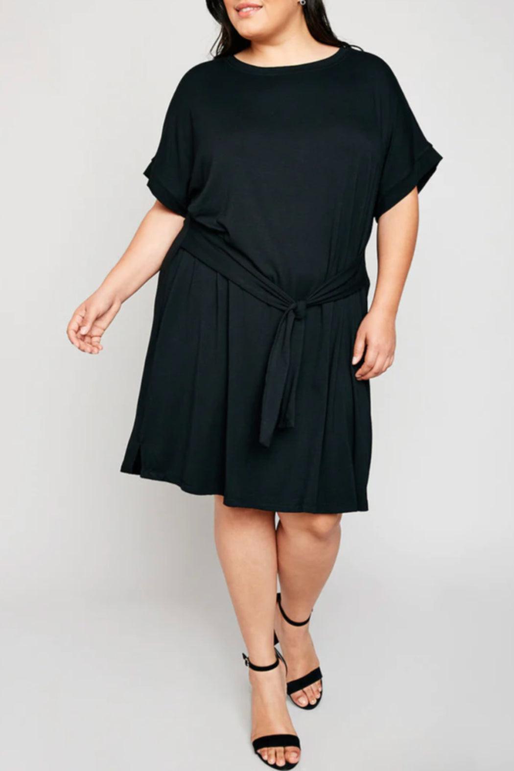 Zoe Dress Curvy Female Product Image