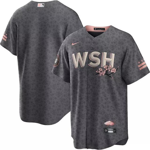 Mens Nike Gray Washington Nationals City Connect Replica Team Jersey Product Image