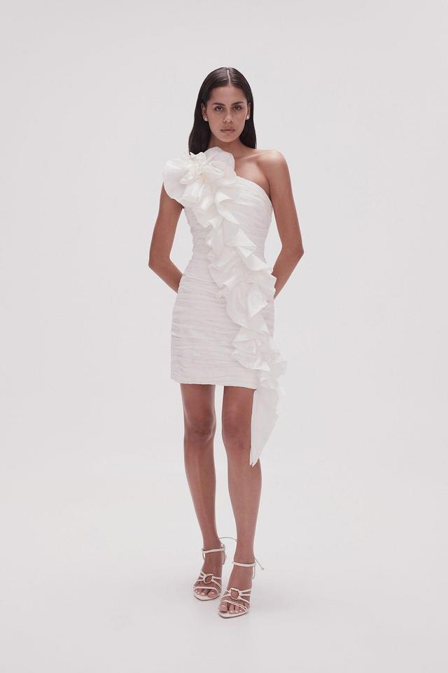 Adelia Ruffle Mini Dress Product Image