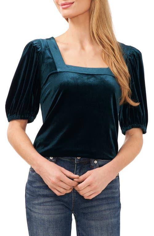 CeCe Square Neck Stretch Velvet Top Product Image