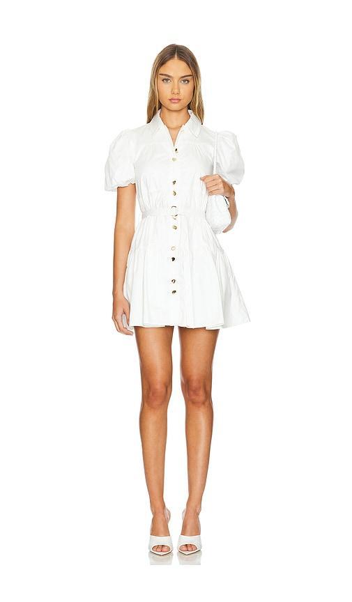 Rosalba Mini Dress Product Image