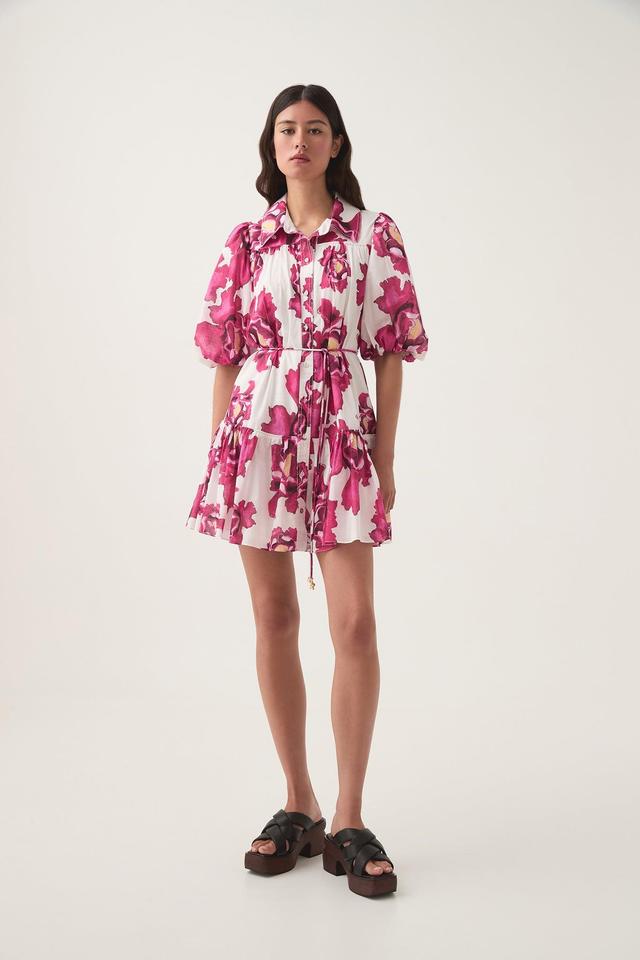 Eliza Smock Mini Dress Product Image