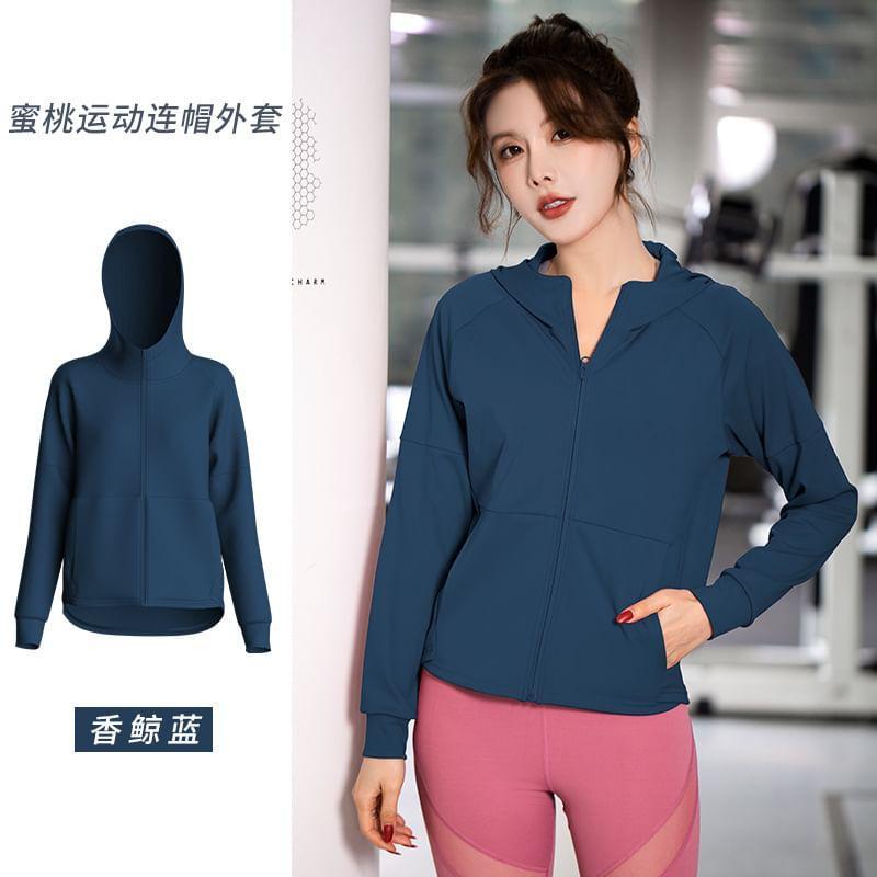 Stand Collar Plain Panel Zip Hoodie Product Image