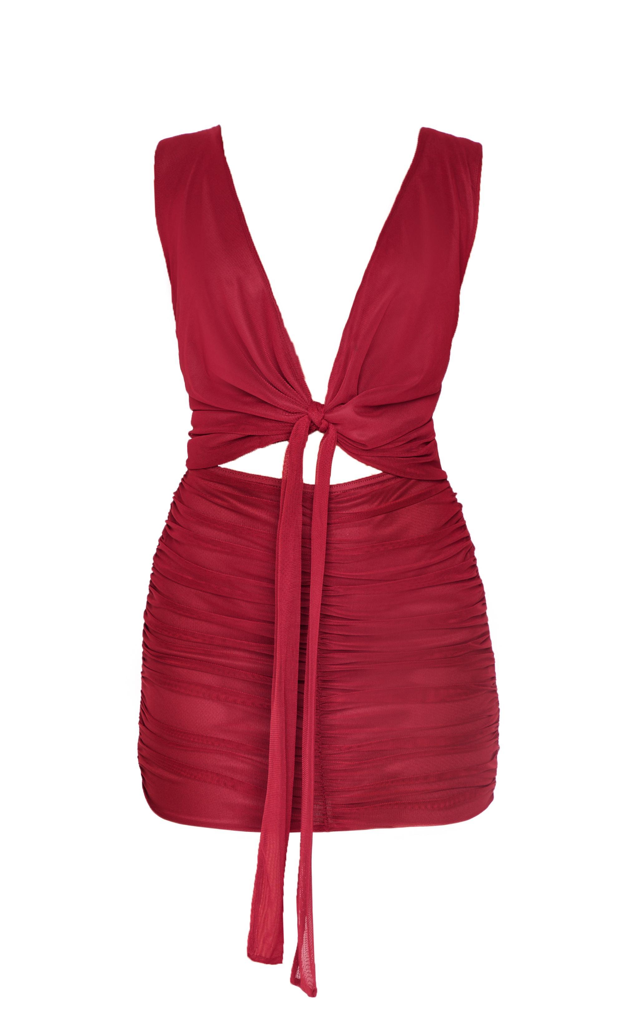 Burgundy Mesh Plunge Knot Detail Mini Dress Product Image