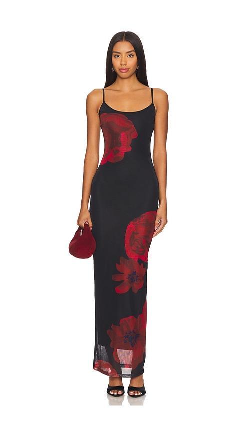 Jobelle Maxi Dress Product Image