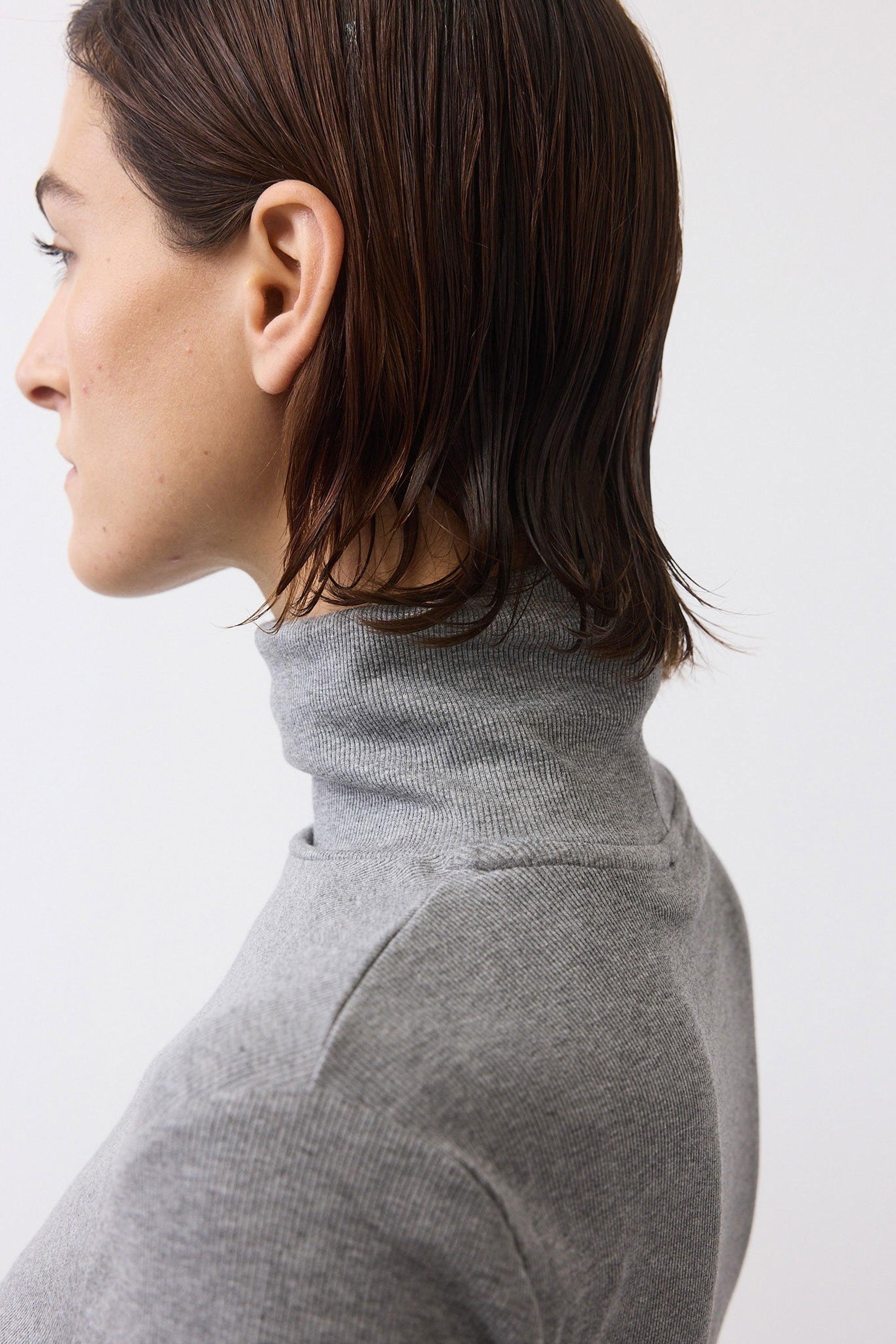 The Ribbed Turtleneck Product Image