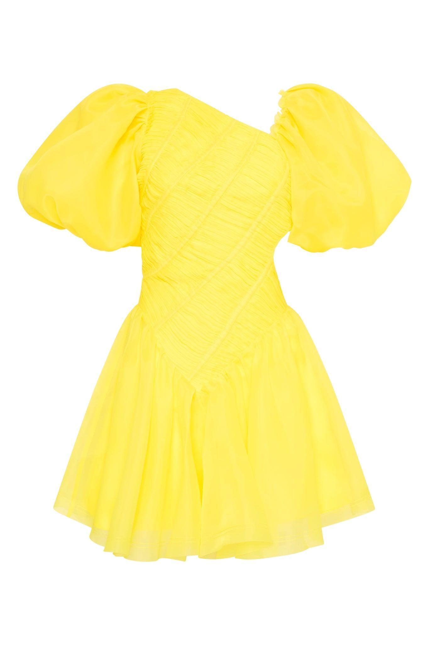 Dawn Ruched Mini Dress Product Image