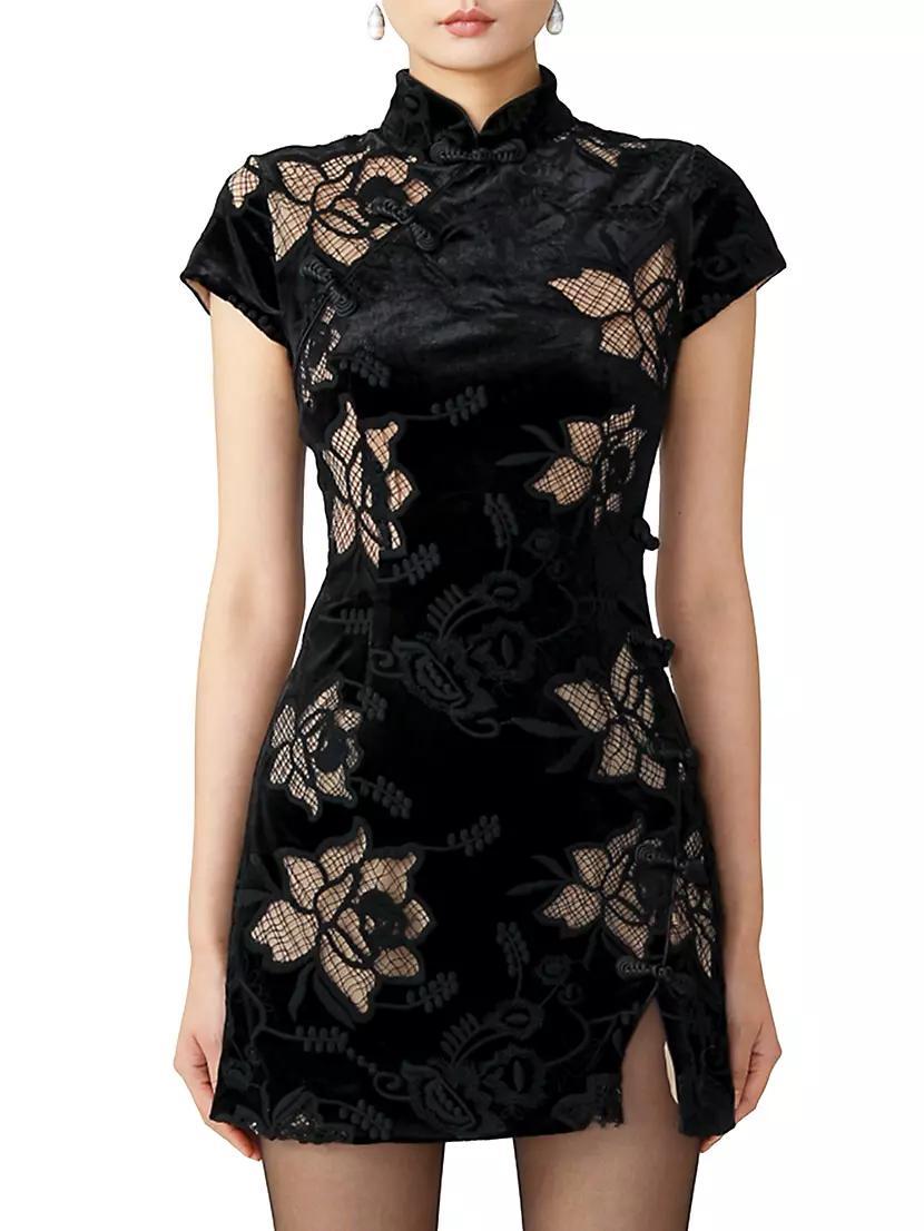 Violet Velvet Lace Minidress Product Image